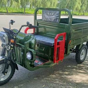 Open Trike China Customized Design Adult Farm Moto Cargo Truck Bike Tuk Tuk Motorized 3 Wheel Electric Tricycle