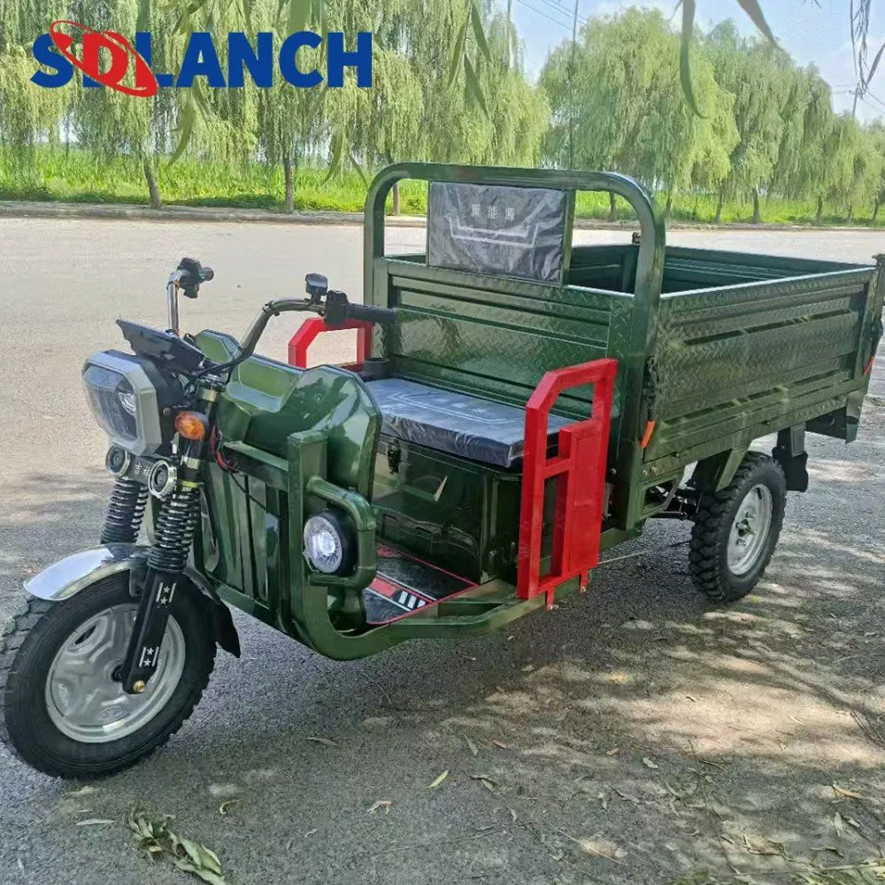 Open Trike China Customized Design Adult Farm Moto Cargo Truck Bike Tuk Tuk Motorized 3 Wheel Electric Tricycle - detail 1
