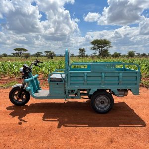 Fengmade New Energy Electric Tricycle with 1.5m Cargo Box 600kg 72V Payload Cargo 3 Wheeler for Delivery Use