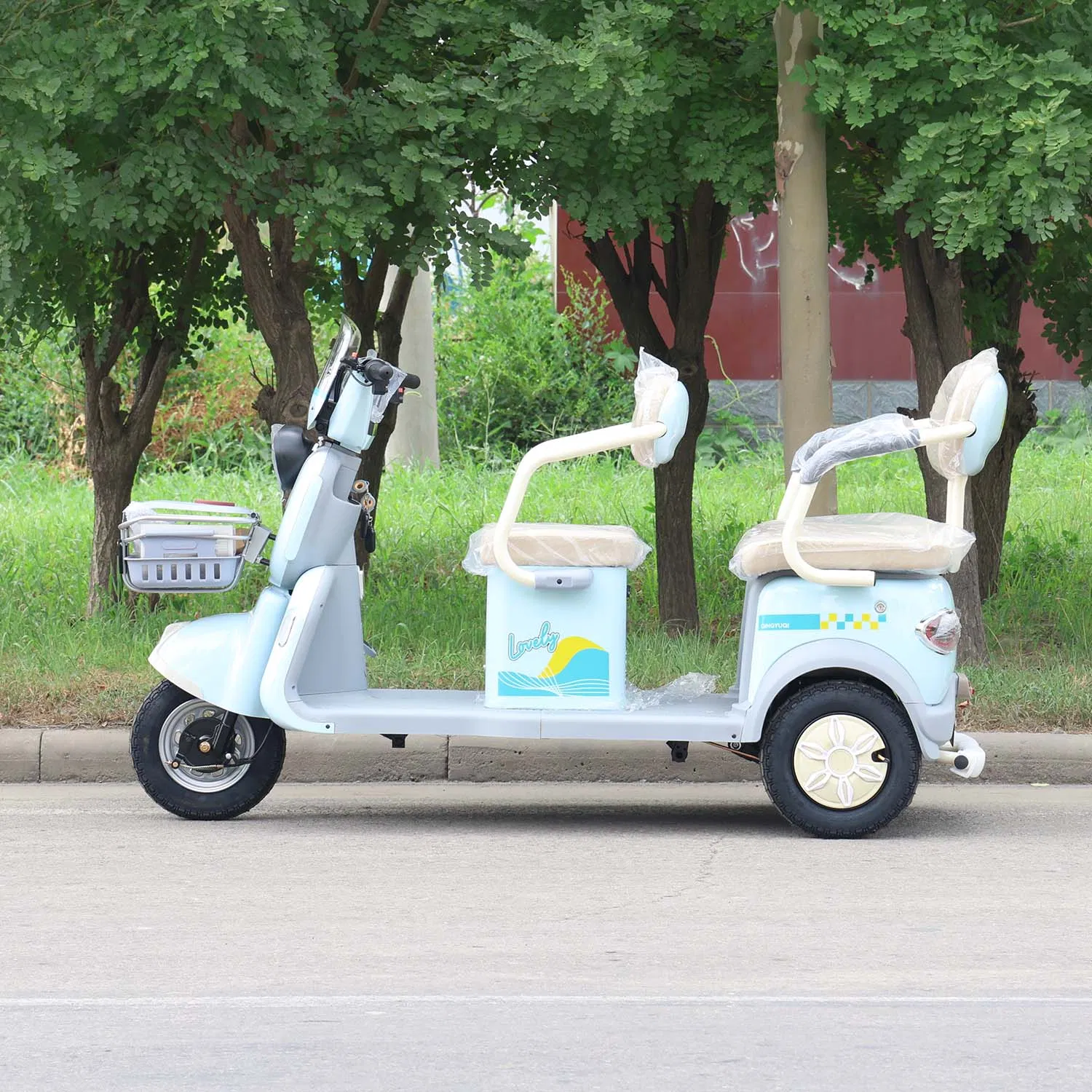 Comfortable Dual-Seat E-Trike Cargo-Capable Dual-Seat Electric Tricycle - Image 7