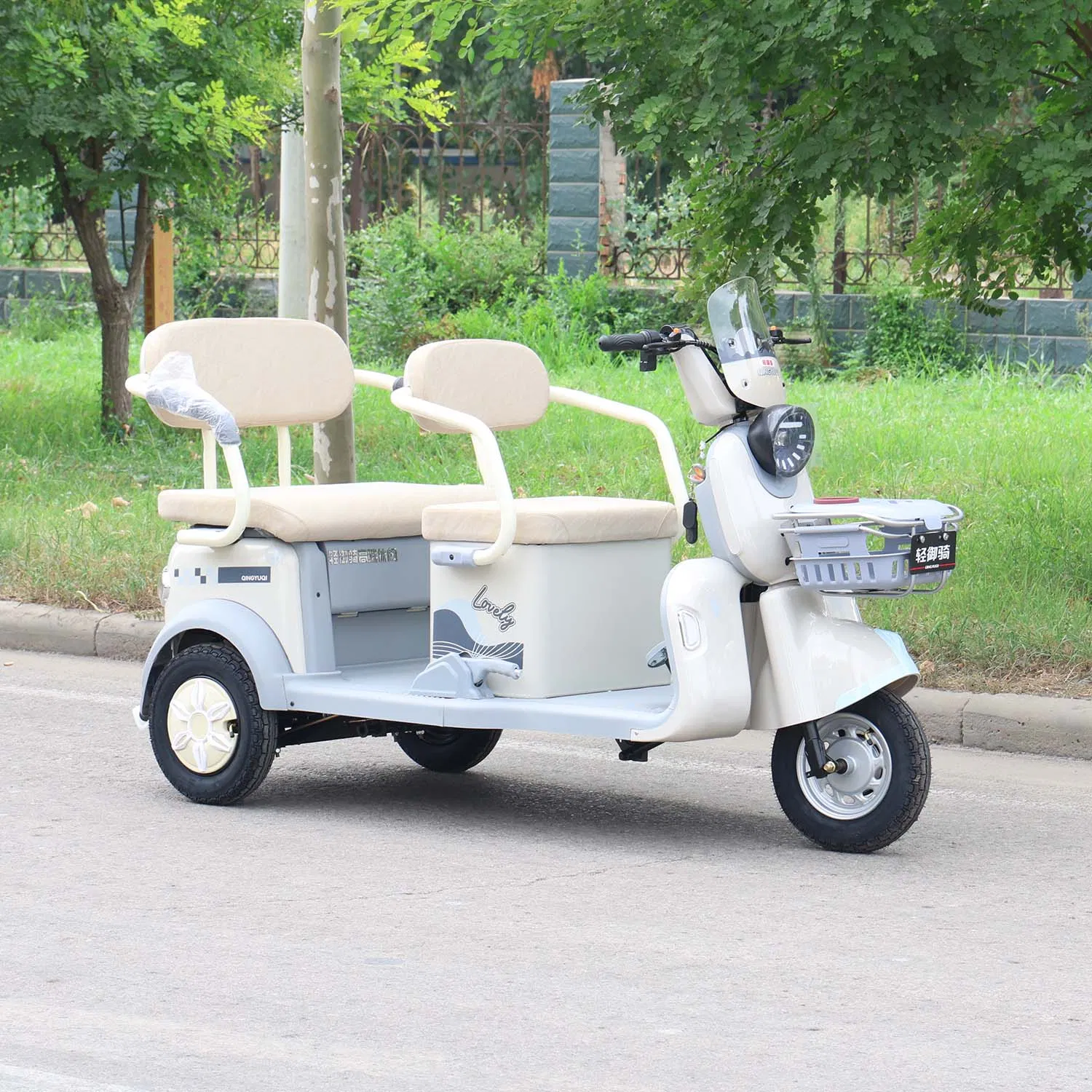 Comfortable Dual-Seat E-Trike Cargo-Capable Dual-Seat Electric Tricycle - Image 8