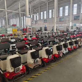 Comfortable Dual-Seat E-Trike Cargo-Capable Dual-Seat Electric Tricycle - detail 13