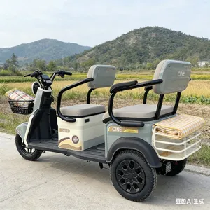 Comfortable Dual-Seat E-Trike Cargo-Capable Dual-Seat Electric Tricycle - detail 20