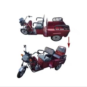 800W 1000W Pedal Cabin Freestyle 3 Wheel Electric Cargo Bike Household Small Scooter Foldable Three-Seat Adjustable for Passengers Electric Tricycles