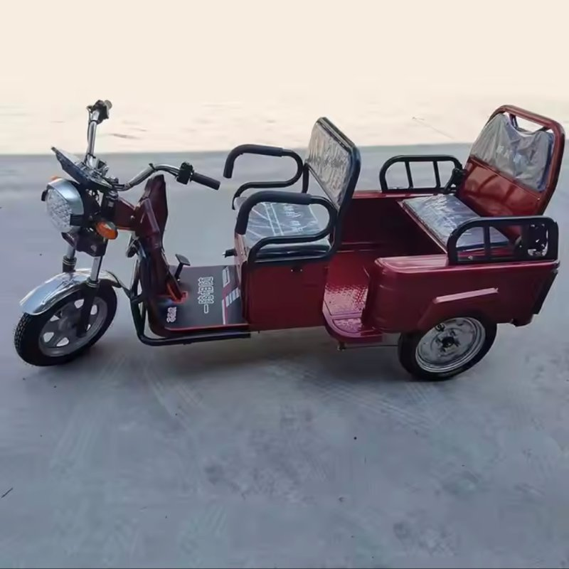 800W 1000W Pedal Cabin Freestyle 3 Wheel Electric Cargo Bike Household Small Scooter Foldable Three-Seat Adjustable for Passengers Electric Tricycles - Image 3