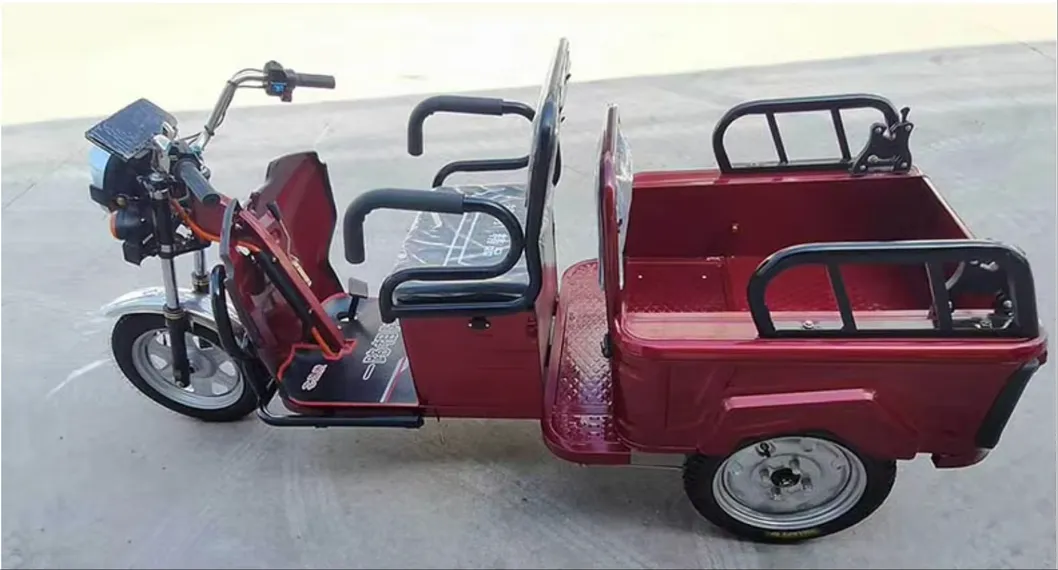 800W 1000W Pedal Cabin Freestyle 3 Wheel Electric Cargo Bike Household Small Scooter Foldable Three-Seat Adjustable for Passengers Electric Tricycles - detail 1