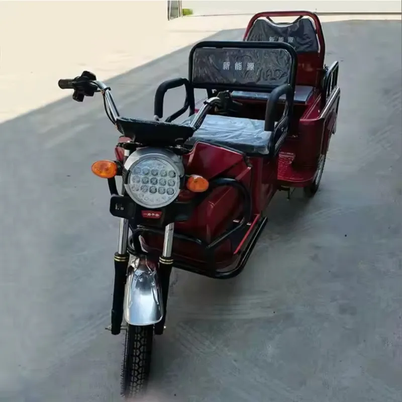 800W 1000W Pedal Cabin Freestyle 3 Wheel Electric Cargo Bike Household Small Scooter Foldable Three-Seat Adjustable for Passengers Electric Tricycles - detail 6