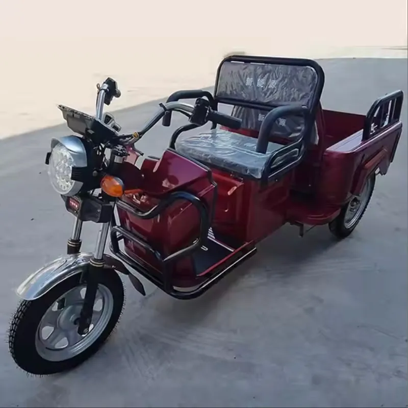 800W 1000W Pedal Cabin Freestyle 3 Wheel Electric Cargo Bike Household Small Scooter Foldable Three-Seat Adjustable for Passengers Electric Tricycles - detail 8