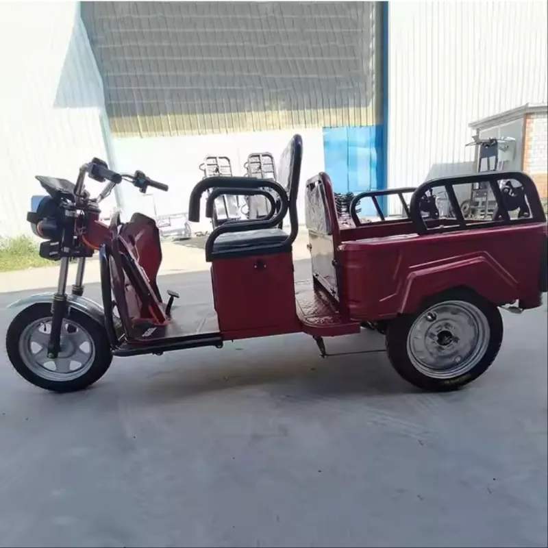 800W 1000W Pedal Cabin Freestyle 3 Wheel Electric Cargo Bike Household Small Scooter Foldable Three-Seat Adjustable for Passengers Electric Tricycles - detail 9