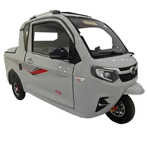 Factory Price Freight Electric Tricycle 60V1500W Electric Cargo Tricycle - detail 18