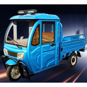 Enclosed Hauler Compartment Fresh Produce Transport in Rural Areas Electric Cargo Tricycle