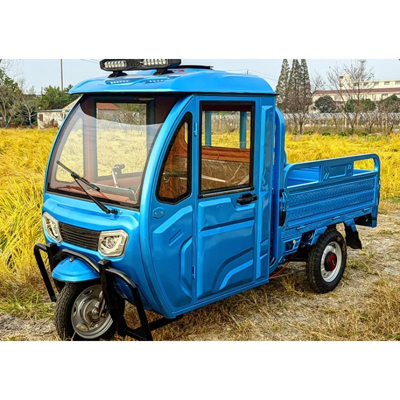 Enclosed Hauler Compartment Fresh Produce Transport in Rural Areas Electric Cargo Tricycle - detail 4