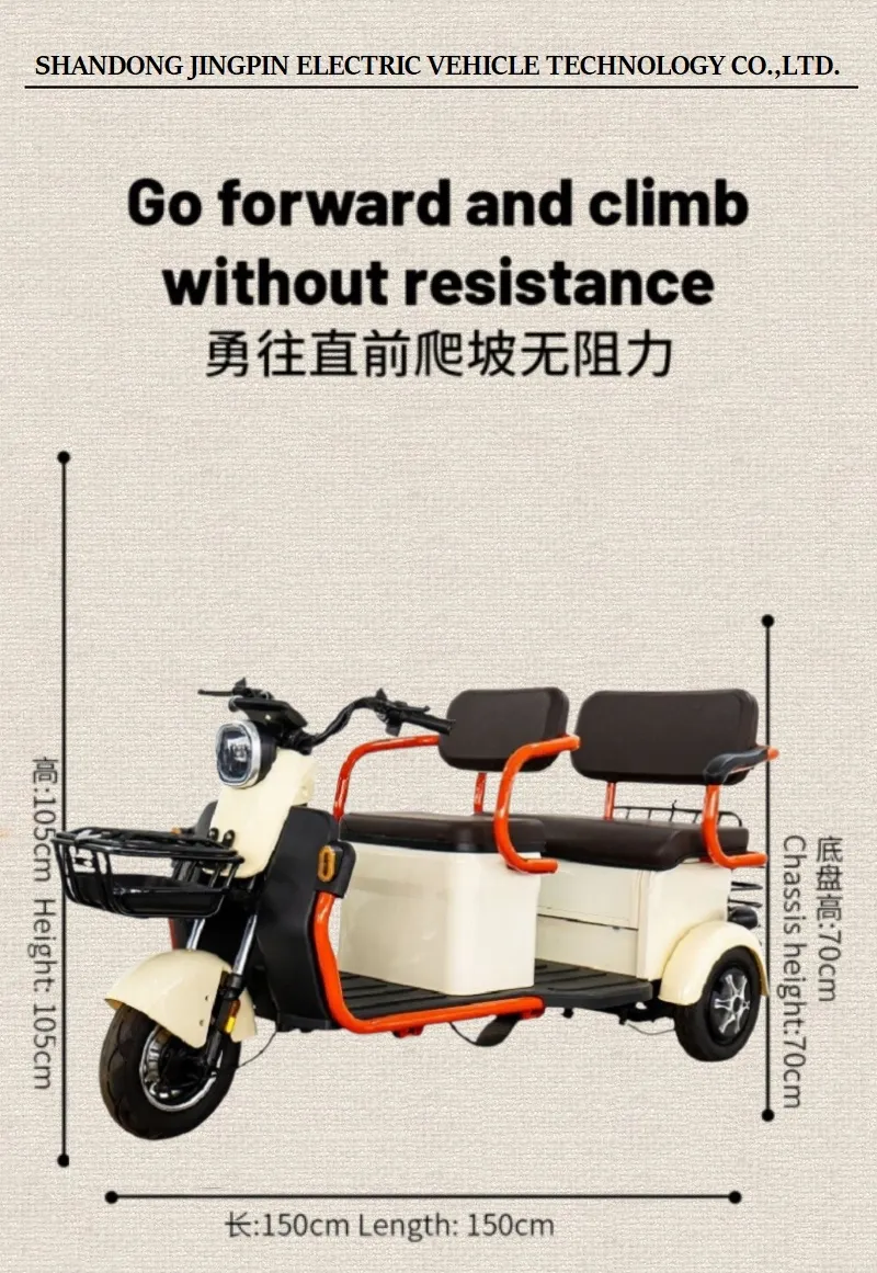 Wholesale Electric Cargo Tricycle Passenger 3 Wheels Electric Bike Motorcycle 600W 48V/60V Electric Tricycle - detail 1