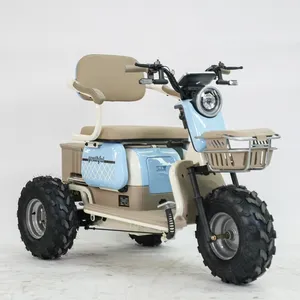 Wholesale Electric Cargo Tricycle Passenger 3 Wheels Electric Bike Motorcycle 600W 48V/60V Electric Tricycle - detail 13