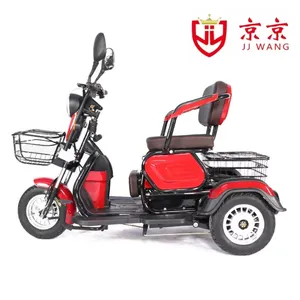 Wholesale Electric Cargo Tricycle Passenger 3 Wheels Electric Bike Motorcycle 600W 48V/60V Electric Tricycle - detail 16