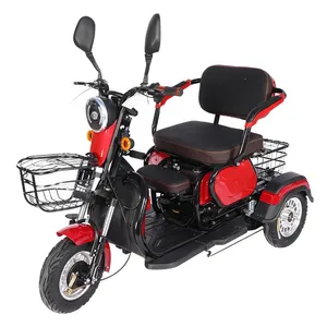 Wholesale Electric Cargo Tricycle Passenger 3 Wheels Electric Bike Motorcycle 600W 48V/60V Electric Tricycle - detail 17