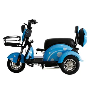 Wholesale Electric Cargo Tricycle Passenger 3 Wheels Electric Bike Motorcycle 600W 48V/60V Electric Tricycle - detail 18