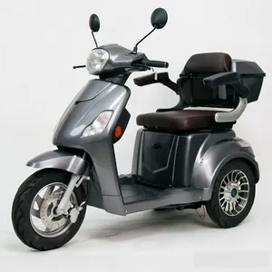 Wholesale Electric Cargo Tricycle Passenger 3 Wheels Electric Bike Motorcycle 600W 48V/60V Electric Tricycle - detail 19