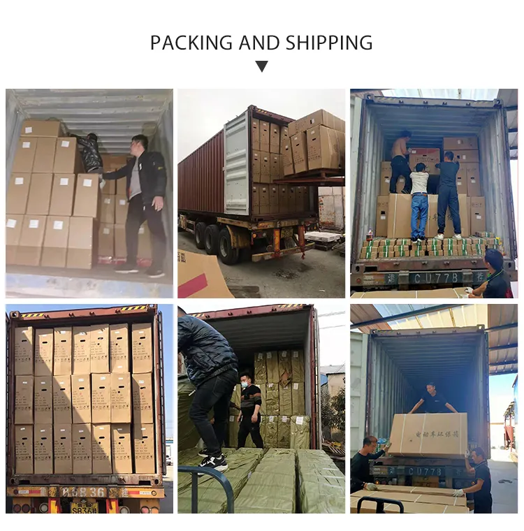 Wholesale Electric Cargo Tricycle Passenger 3 Wheels Electric Bike Motorcycle 600W 48V/60V Electric Tricycle - detail 10
