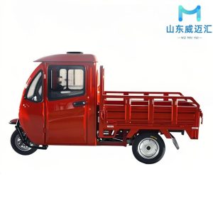 High-Quality Adult Cargo Electric Tricycle Direct From Factory