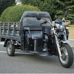 High-Quality Adult Cargo Electric Tricycle Direct From Factory - detail 16
