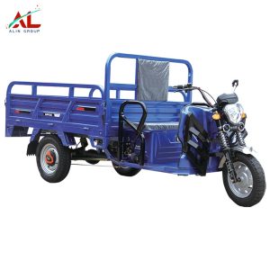 Delivery Electric Cargo Electric Tricycle for Adult