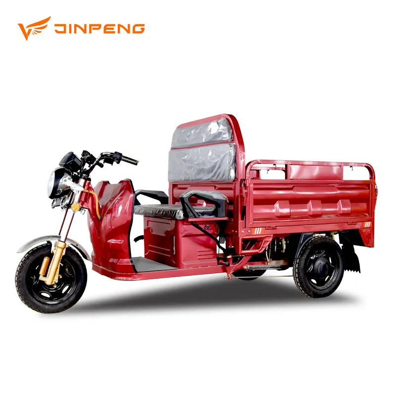 Jinpeng 2024 Newest Model Electric Tricycle for Cargo, Electric Loader, EEC CE - detail 14