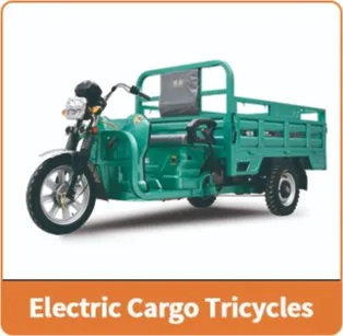 Jinpeng 2024 Newest Model Electric Tricycle for Cargo, Electric Loader, EEC CE - detail 6