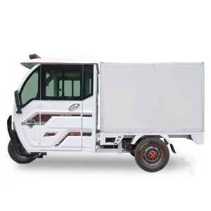 Multi-Functional Electric Tricycles Fully Enclosed 2 Seat Manned Cargo Electric Tricycles with Integrated Differential Motor for Delivery
