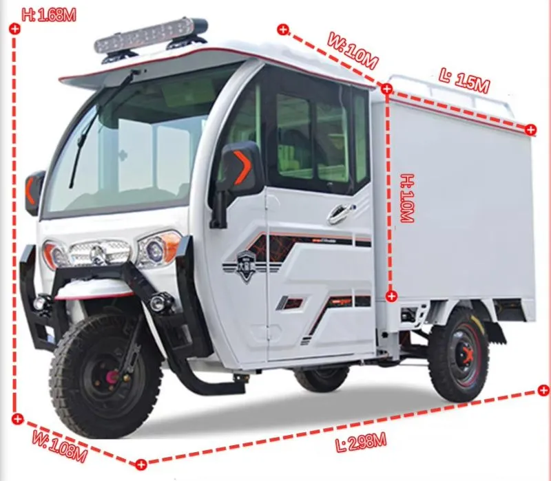 Multi-Functional Electric Tricycles Fully Enclosed 2 Seat Manned Cargo Electric Tricycles with Integrated Differential Motor for Delivery - detail 1