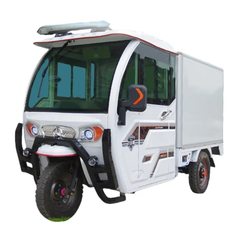 Multi-Functional Electric Tricycles Fully Enclosed 2 Seat Manned Cargo Electric Tricycles with Integrated Differential Motor for Delivery - detail 2