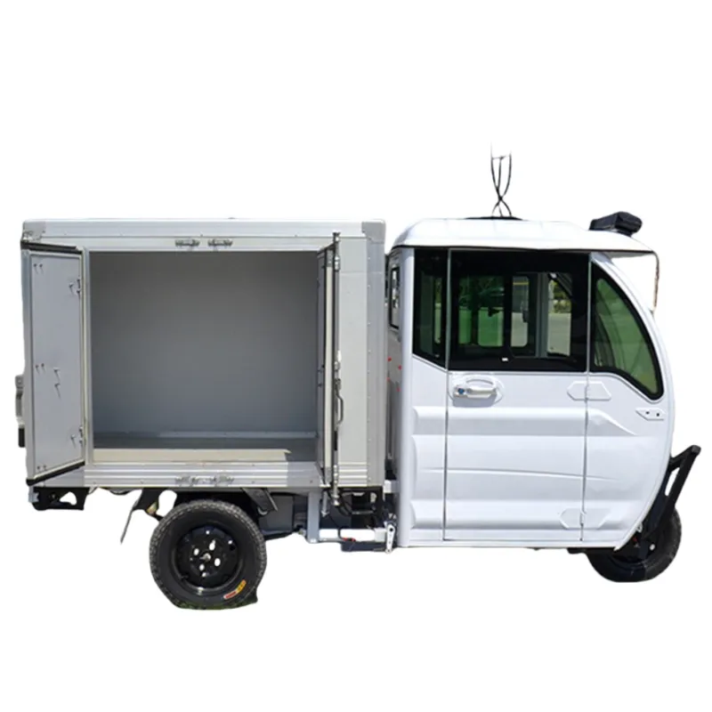 Multi-Functional Electric Tricycles Fully Enclosed 2 Seat Manned Cargo Electric Tricycles with Integrated Differential Motor for Delivery - detail 3