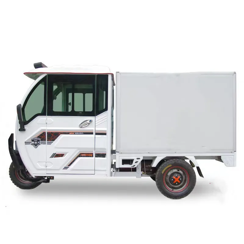 Multi-Functional Electric Tricycles Fully Enclosed 2 Seat Manned Cargo Electric Tricycles with Integrated Differential Motor for Delivery - detail 4