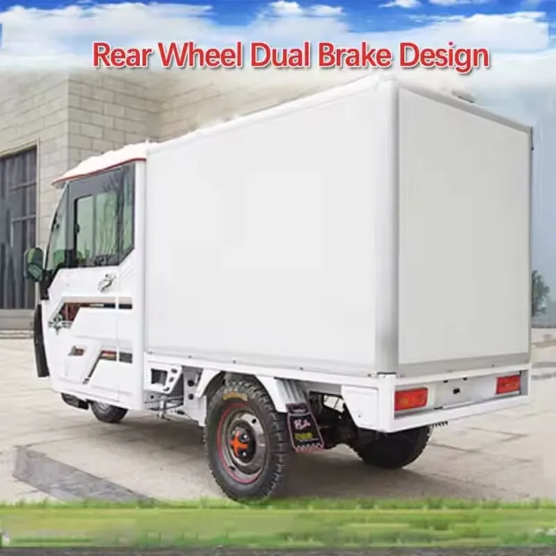 Multi-Functional Electric Tricycles Fully Enclosed 2 Seat Manned Cargo Electric Tricycles with Integrated Differential Motor for Delivery - detail 5