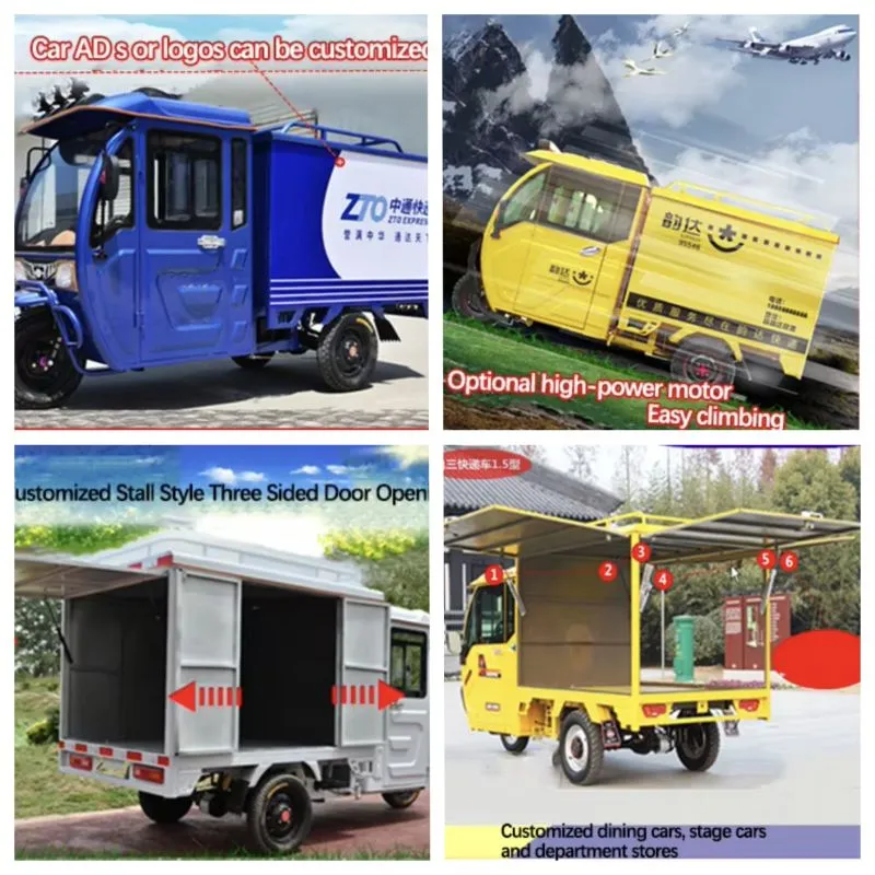 Multi-Functional Electric Tricycles Fully Enclosed 2 Seat Manned Cargo Electric Tricycles with Integrated Differential Motor for Delivery - detail 9
