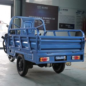 Keyu Quality Certifications 2doors Tricycles Electric Cargo for Transportation