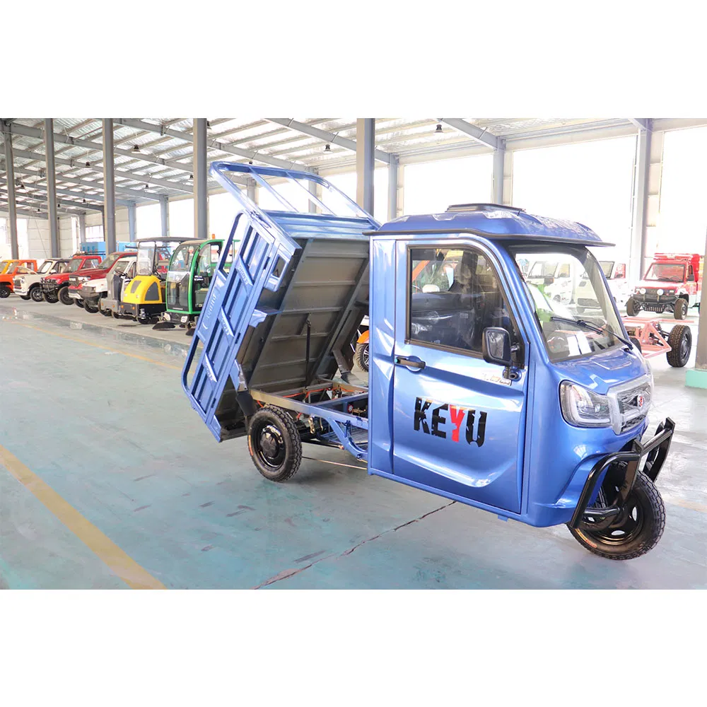 Keyu Quality Certifications 2doors Tricycles Electric Cargo for Transportation - detail 8