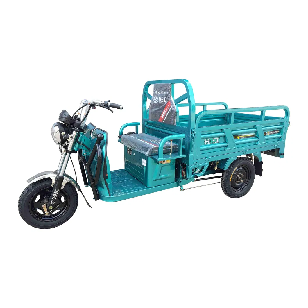 60V1000W Electric Three Wheeler 500kg Loading Capacity Durm Brake Cargo Tricycle - detail 1