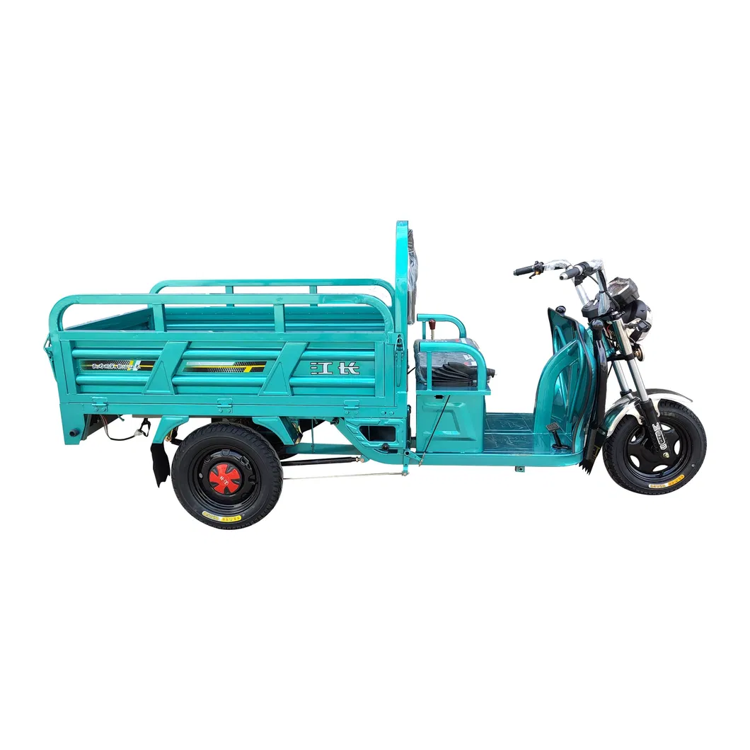 60V1000W Electric Three Wheeler 500kg Loading Capacity Durm Brake Cargo Tricycle - detail 2