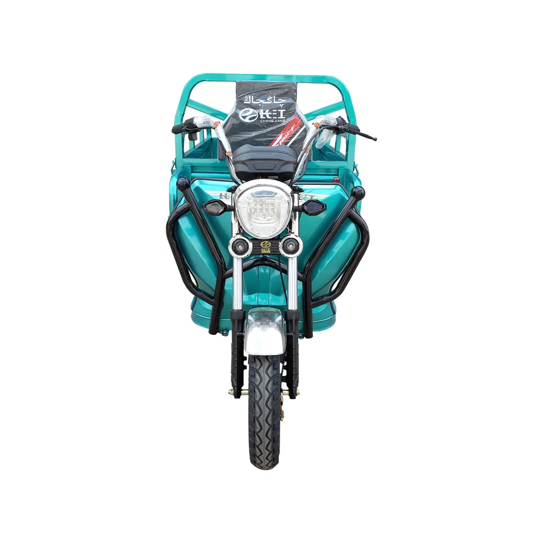 60V1000W Electric Three Wheeler 500kg Loading Capacity Durm Brake Cargo Tricycle - detail 5