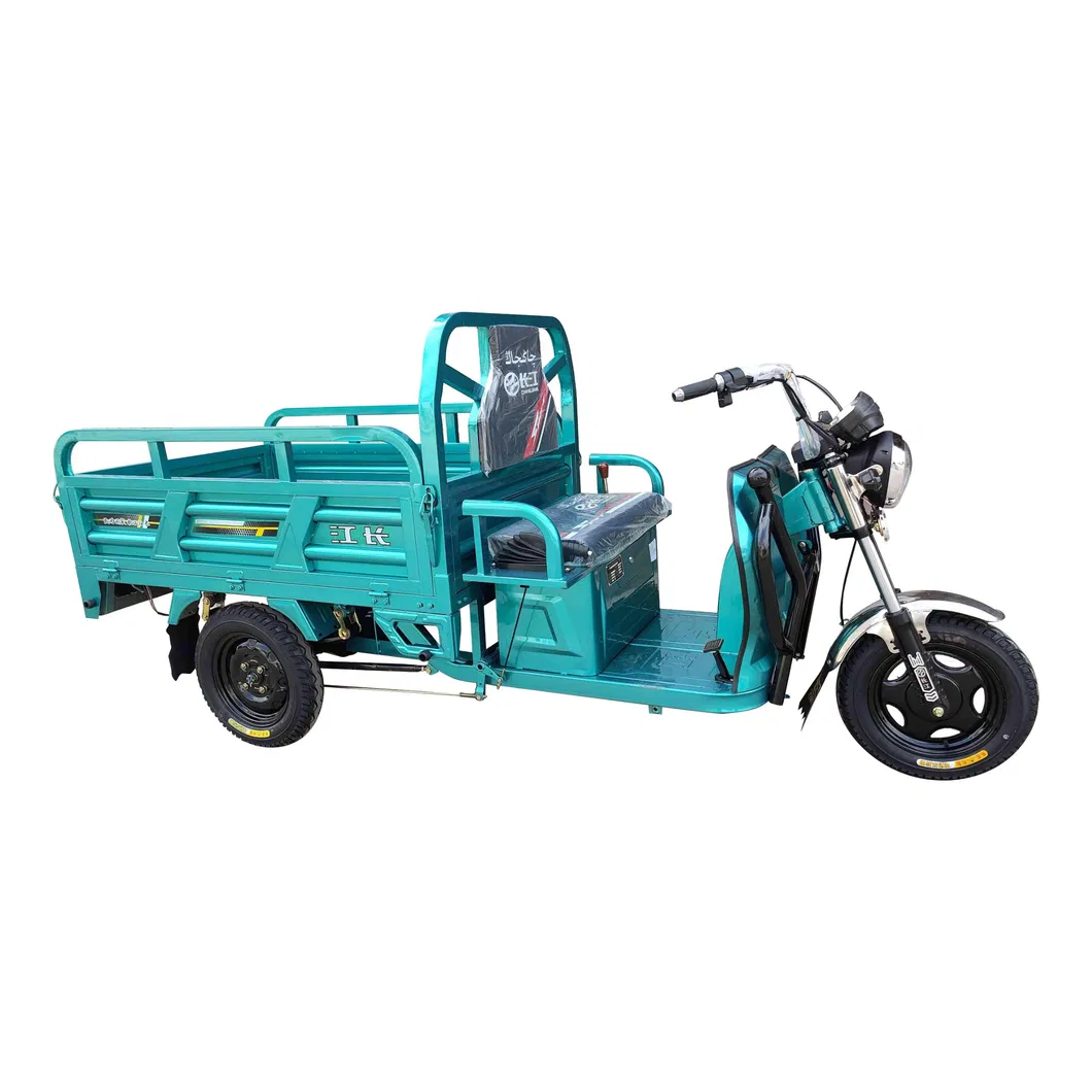 60V1000W Electric Three Wheeler 500kg Loading Capacity Durm Brake Cargo Tricycle - detail 6