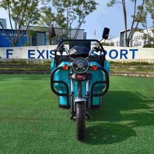 60V 1200W Electric Cargo Tricycle 3 Wheel Farm Vegetable Transportation Cargo Tricycle