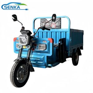 Senka Top Quality Powerful 3 Wheel Electric Motorcycle Cargo Tricycle