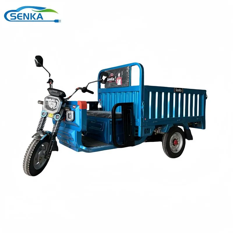 Senka Top Quality Powerful 3 Wheel Electric Motorcycle Cargo Tricycle - detail 1