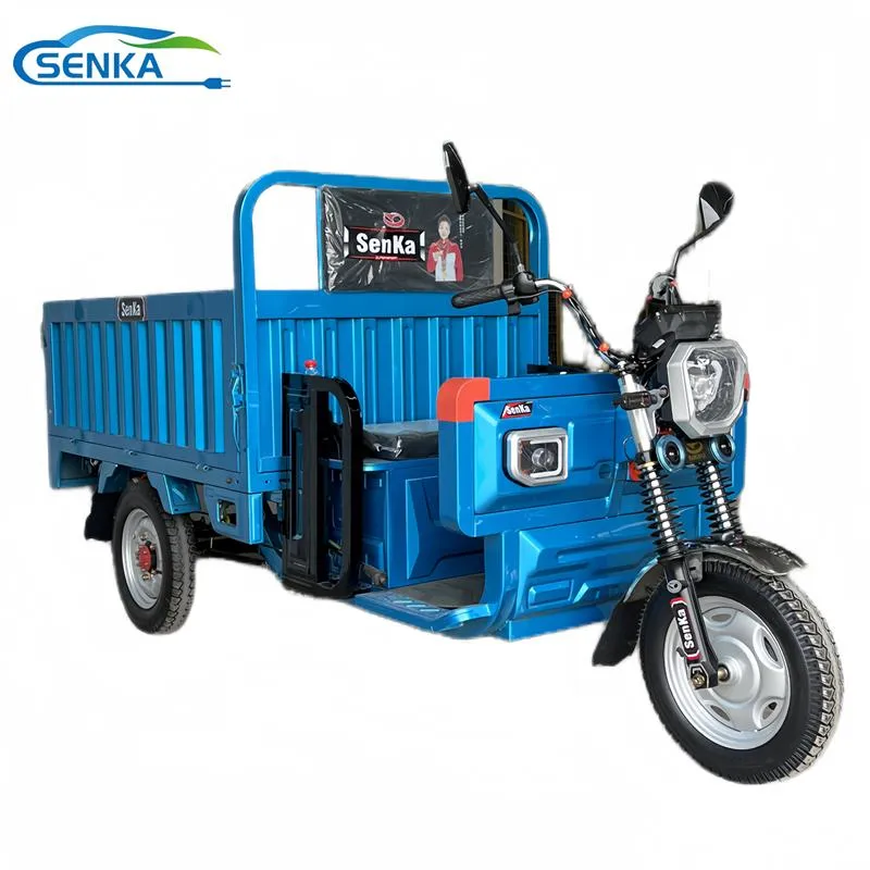 Senka Top Quality Powerful 3 Wheel Electric Motorcycle Cargo Tricycle - detail 2