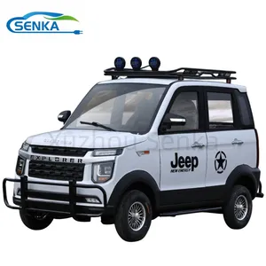 Senka Top Quality Powerful 3 Wheel Electric Motorcycle Cargo Tricycle - detail 12
