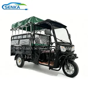 Senka Top Quality Powerful 3 Wheel Electric Motorcycle Cargo Tricycle - detail 16
