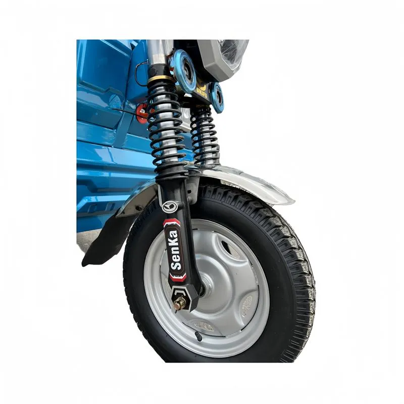 Senka Top Quality Powerful 3 Wheel Electric Motorcycle Cargo Tricycle - detail 5
