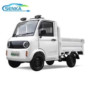 Senka Top Quality Powerful 3 Wheel Electric Motorcycle Cargo Tricycle - detail 10