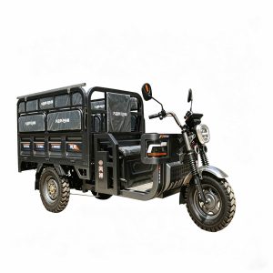 Hot Selling Overseas Electric Tricycle High Quality Cargo Tricycle
